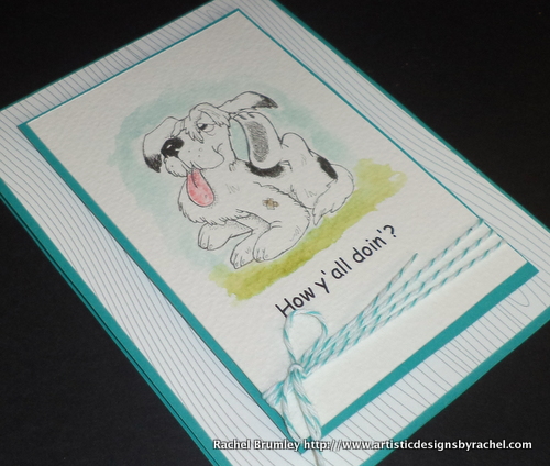 Belated National Doggie Day