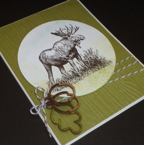 Walk in the Wild – Masculine Monday – Stampin’ UP!