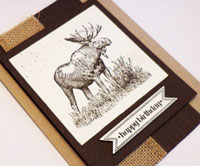 Walk in the Wild – Bye, Bye