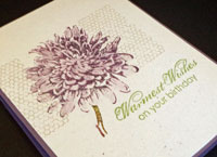 Blooming with Kindness – retiring!