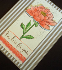 You’ve Got This – Sneak Peek