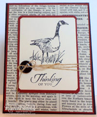 Wetlands – Thinking of You