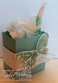 Watercolor Wings Fancy Favor Box