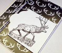 The Wilderness Awaits