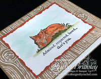 The Wilderness Awaits