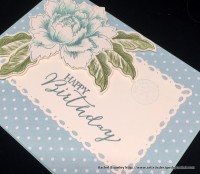 It’s a non-SU kind of day