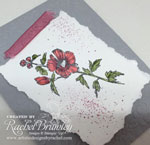 Introducing Fabulous Flora