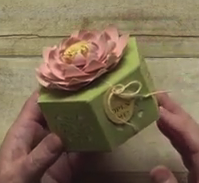 Window Shopping Stamp Set & Window Box Thinlits