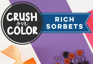 Rich Sorbets Bundle