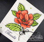 Good Morning Magnolia