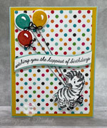 Last couple of days for Zany Zebras