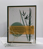 A Case of Bamboo Beauty