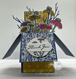 Nature’s Harvest Pop-up Box