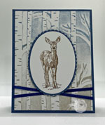 Nature’s Beauty for a masculine card