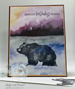 Wildlife Wonder Stamp Set with New Horizons DSP