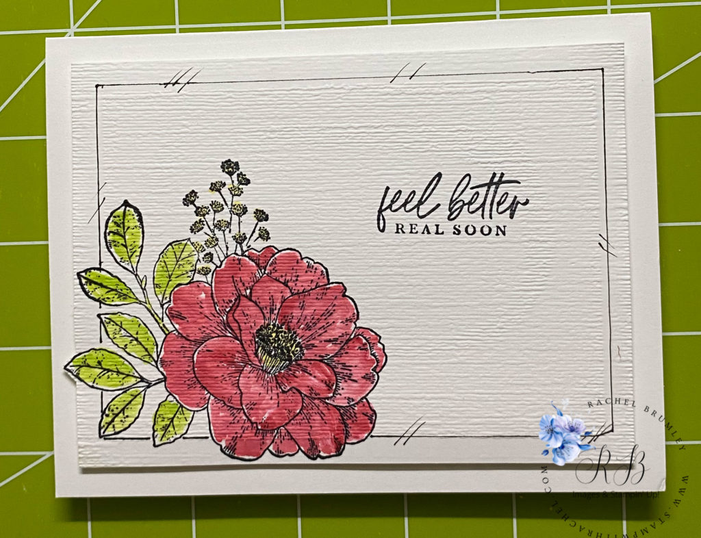 Cottage-Rose-Rachel-Brumley | Stamp with Rachel