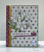 Sneak Peek – Wonderful World Bundle