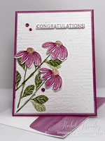 Cheerful Daisies Card and a Video