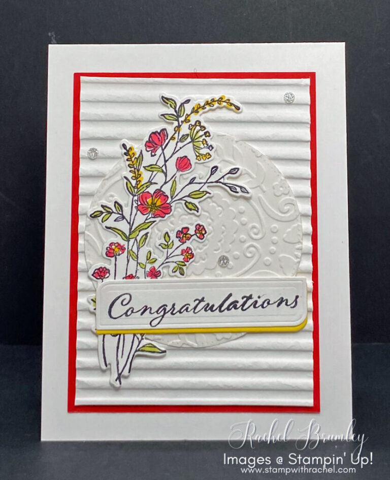 Exploring Creativity: Unveiling the Magic of Color Throwndown #cdt755 and the Dainty Delight Bundle”