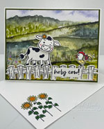 Cow Cuteness Overload!