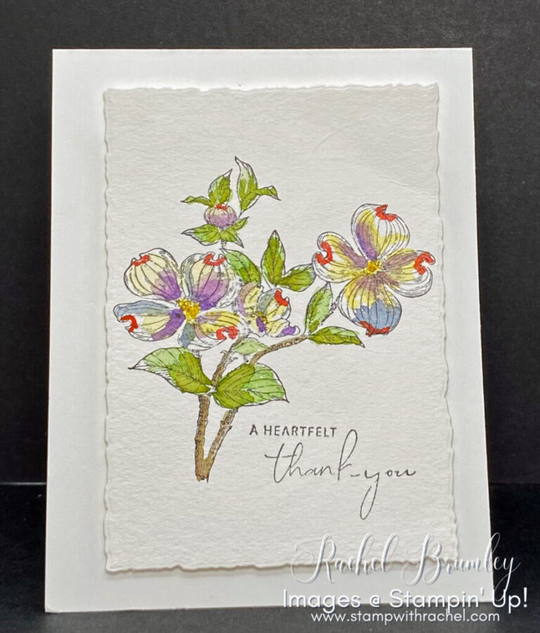 A Heartfelt Thank You with the Watercolor Detailed Dogwood Stamp Set