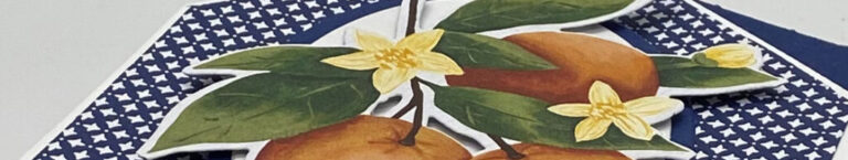 Sneak Peek – Live Video