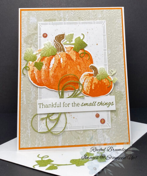 Beautiful Pumpkins Bundle
