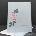 Flowering Meadow Bundle
