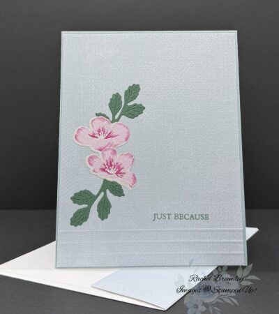 Flowering Meadow Bundle