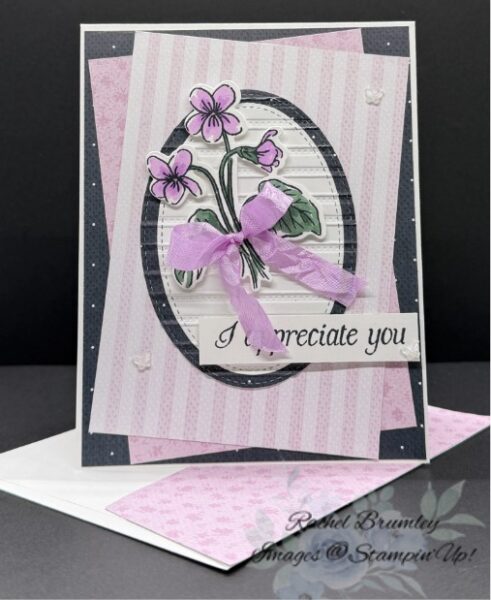 Framed Violets Bundle