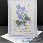 Framed Violets Bundle