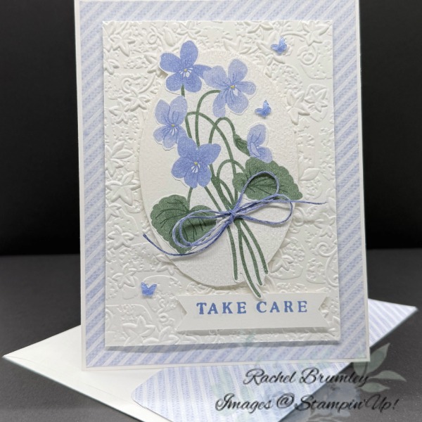 Framed Violets Bundle