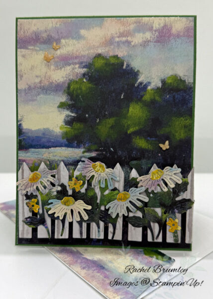 Flowering Meadow and Meandering Meadow DSP