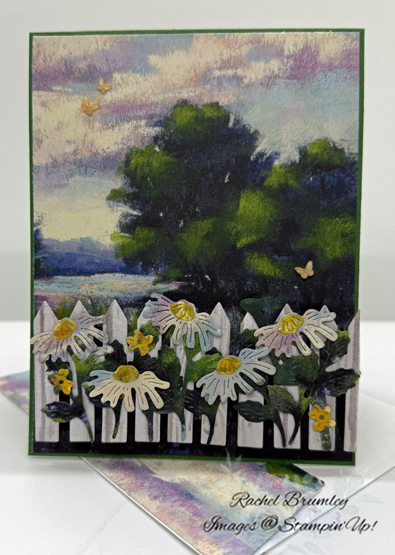 Flowering Meadow and Meandering Meadow DSP