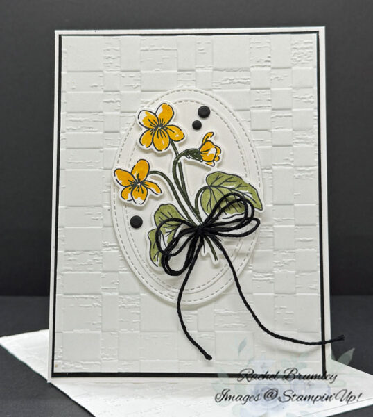 Framed Violets Bundle