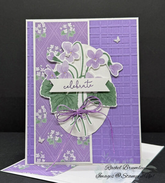 Framed Violets Bundle