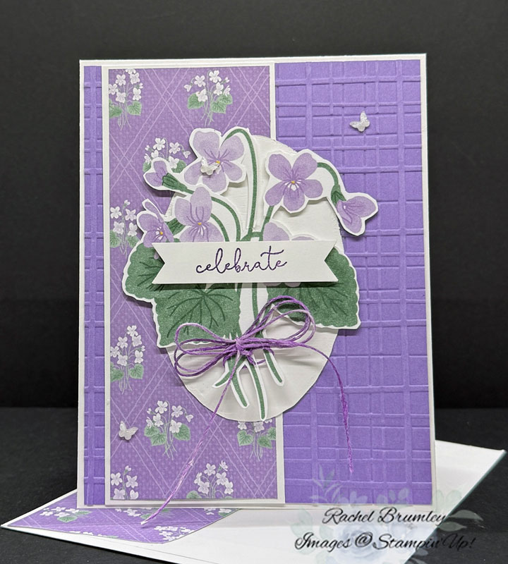 Framed Violets Bundle