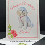 Happy Birthday Sophie