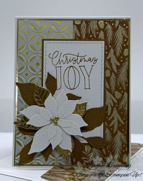 Pretty Poinsettia