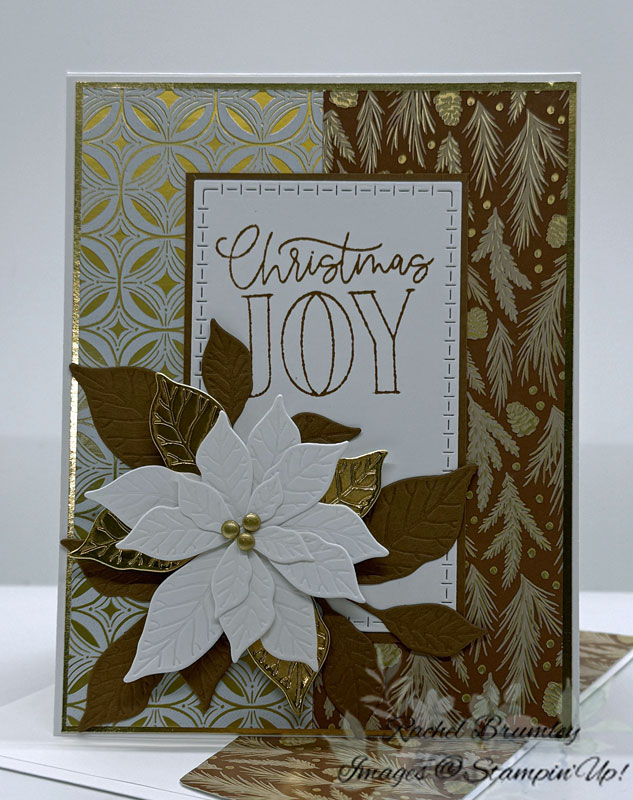 Pretty Poinsettia