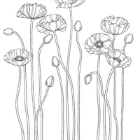 Pleasant Poppies