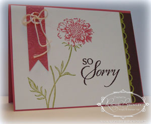 So-Sorry copy